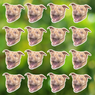 Autocollants en vinyle étanche photo personnalisés