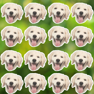 Autocollants en vinyle étanche photo personnalisés