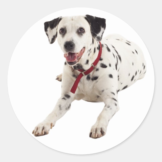 Autocollants / Étiquettes de salutation pour chiot (Devant)