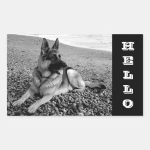 Autocollants / Étiquettes Salut / Bonjour Chien de