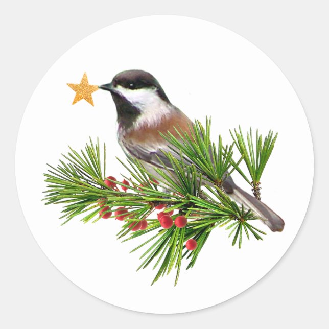 Autocollants étoile mésange (Devant)