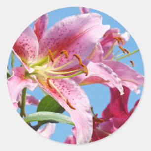 Autocollants Fleurs de Lys Rose Formes personnalis