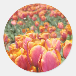 Autocollants Fleurs de Tulipe Sceaux d'enveloppe P
