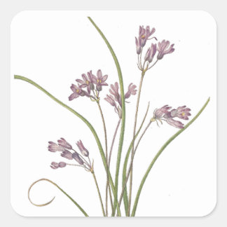 autocollants fleurs sauvages