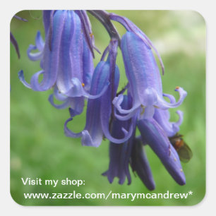 Autocollants Fleurs sauvages Bluebells