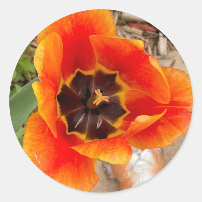 Autocollants floraux (Devant)