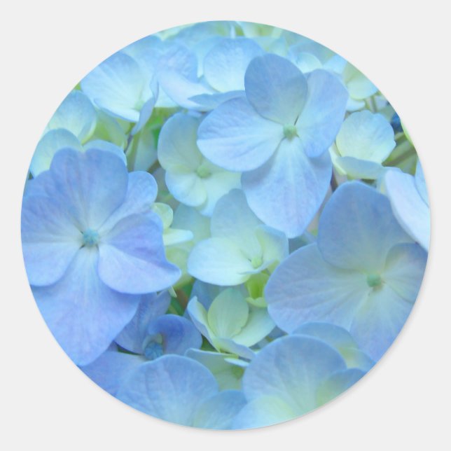Autocollants floraux bleus Sceaux d'enveloppe Hydr (Devant)