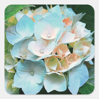 Autocollants floraux/joints d'hortensia de corail