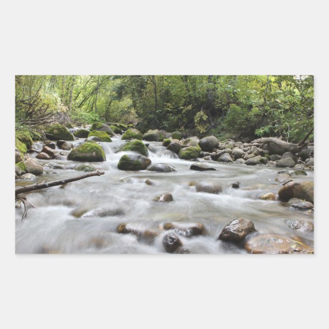 Autocollants Forest Stream (Devant)