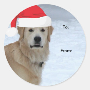 Autocollants Golden Retriever à/de Noël