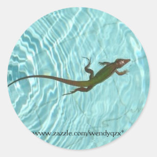 Autocollants Lizard de natation
