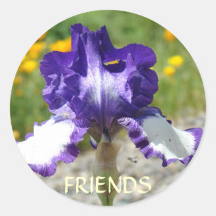 AUTOCOLLANTS MEILLEURE AMIE Fleurs d'Iris Violet C