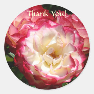 Autocollants Merci ! Fleurs Rose Blanche Rose