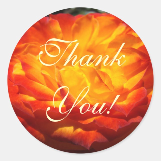 autocollants Merci ! Rose fleur orange vif art (Devant)