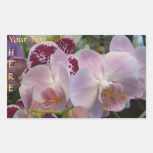Autocollants Orchidées Roses. *personnaliser*