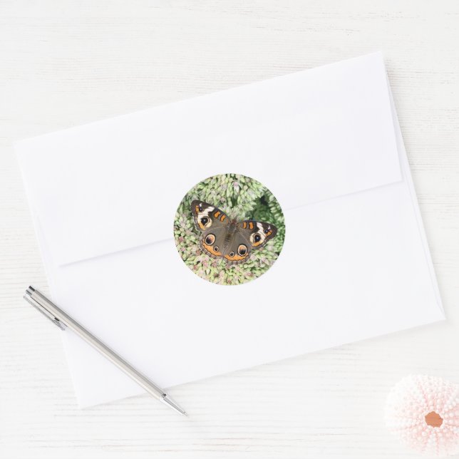 Autocollants Papillon (Enveloppe)