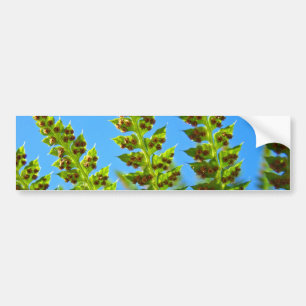 Autocollants pare-chocs Ciel bleu forêt verte foug