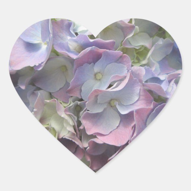 Autocollants - Pastel Rainbow Hydrangea (Devant)