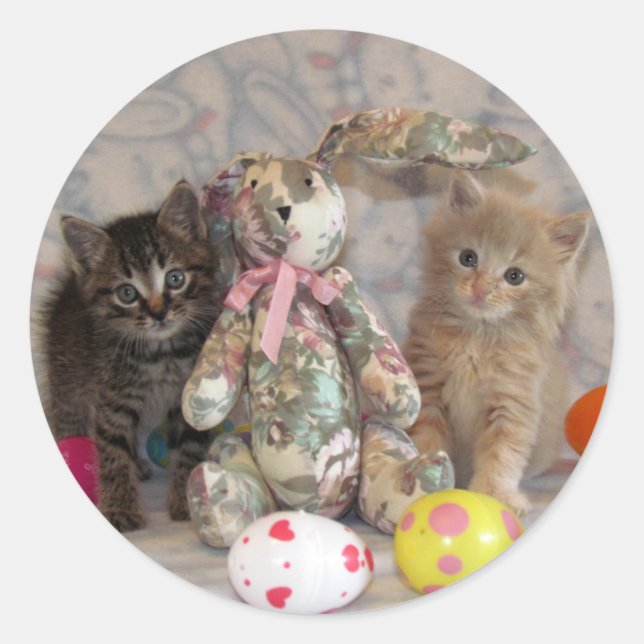 Autocollants Patton et Buffington chat / chaton (Devant)