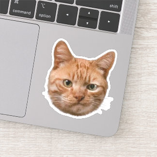 Autocollants personnalisés pour animaux de compagn
