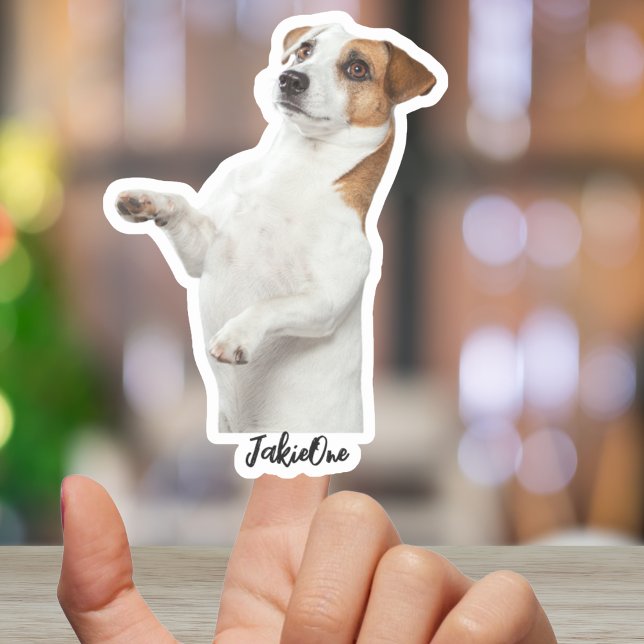 Autocollants personnalisés pour animaux de compagn (Custom Pet Stickers – Dog & Cat Photo Vinyl Decals)