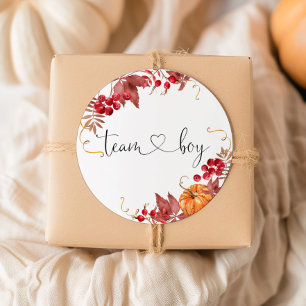 Autocollants petit citrouille orange de l'équipe g