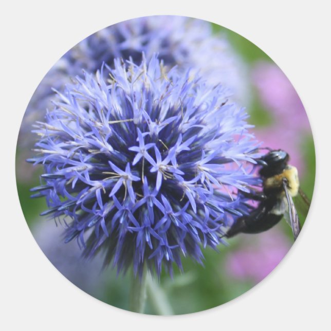 Autocollants pour abeilles (Devant)