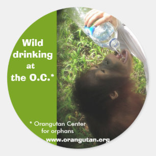 Autocollants pour boissons sauvages -version 1