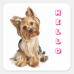Autocollants pour chien chiot Yorkshire Terrier Yo
