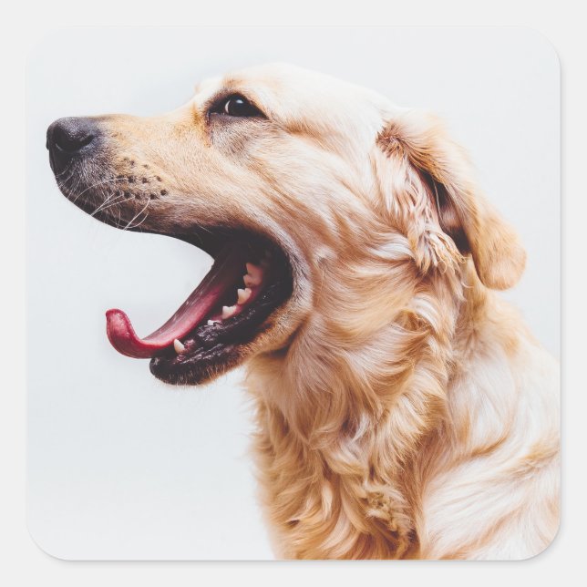 Autocollants pour chien mignon 6 (Devant)