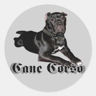 Autocollants pour chiot Cane Corso