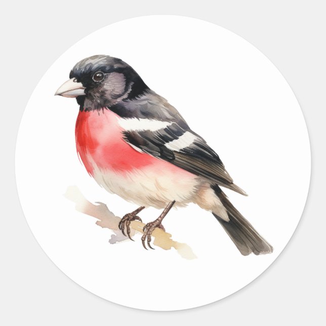 Autocollants pour oiseaux Grosbeak à poitrine Rose (Devant)