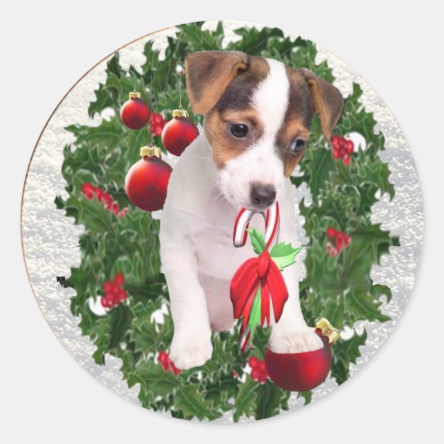 Autocollants précieux de Noël de Jack Russell (Devant)