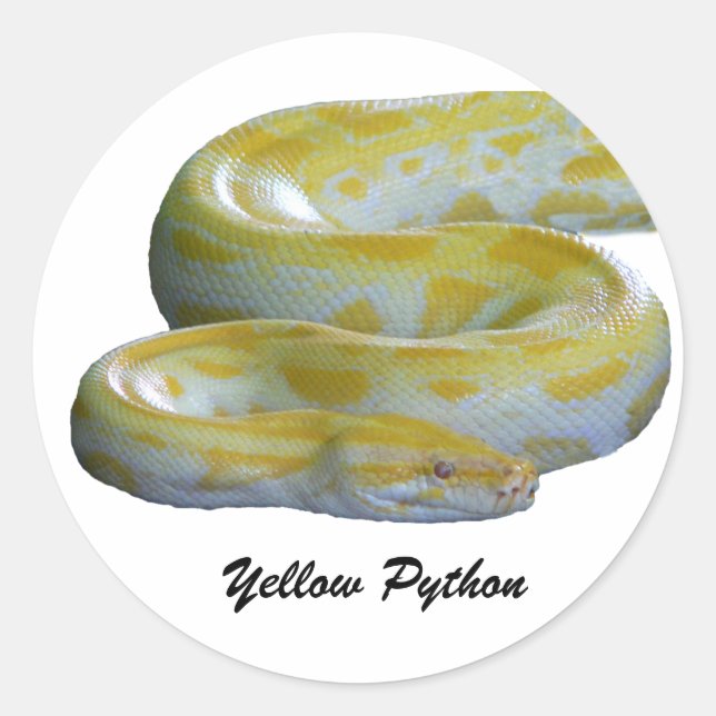 Autocollants Python Jaune (Devant)