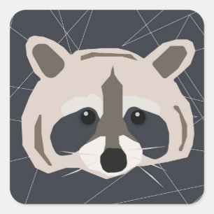 Autocollants Raccoon