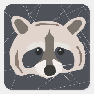 Autocollants Raccoon