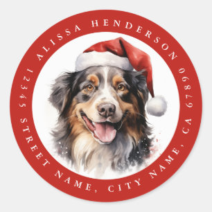 Autocollants ronds bergers australiens