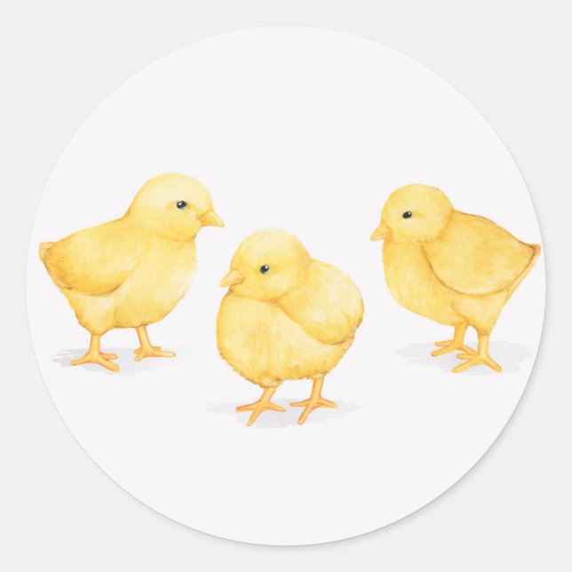 AUTOCOLLANTS RONDS CLASSIQUES POUSSINS DE PÂQUES (Devant)
