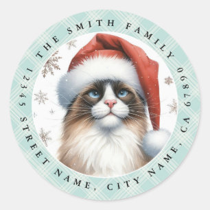 Autocollants ronds de chat Snowshoe