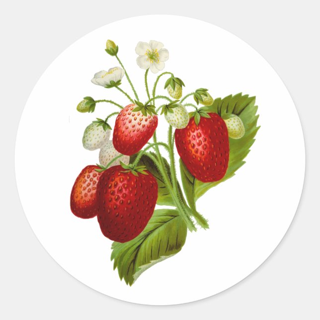 Autocollants Ronds Fraises Jointures Fraises (Devant)