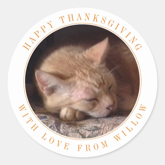 AUTOCOLLANTS RONDS GRANDS DE THANKSGIVING POUR ANI (Devant)