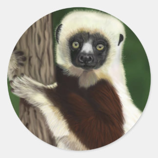 Autocollants Sifaka