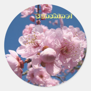 Autocollants Sunshine! Fleurs roses de printemps e