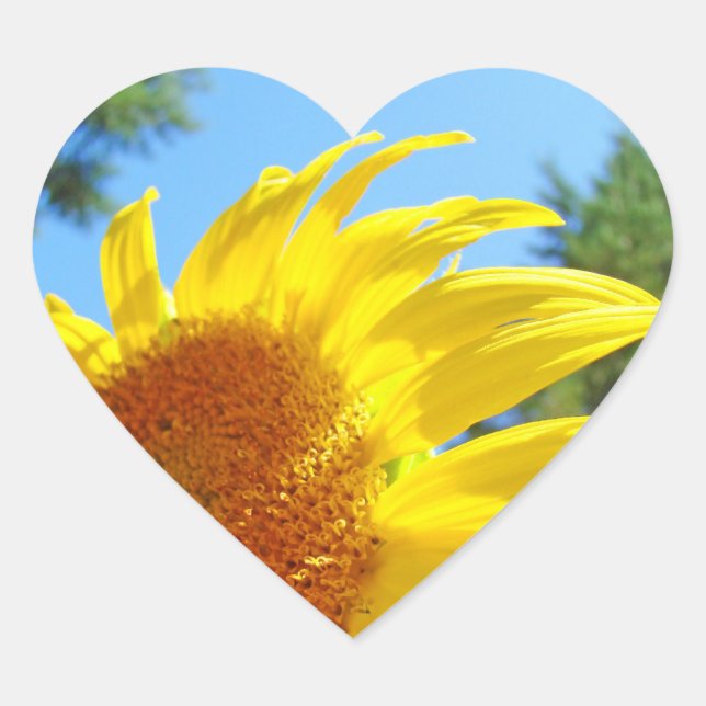 Autocollants Tournesols Invitation Sceaux Forme de (Devant)