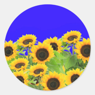 Autocollants Tournesols Jaunes