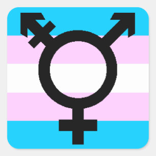 Autocollants Trans Pride - arrondi, avec symbole