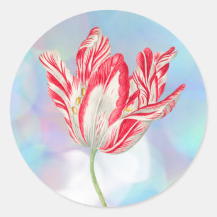 Autocollants Tulipe Rouge Vintage