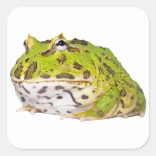 Autocollants verts de grenouille de Pacman