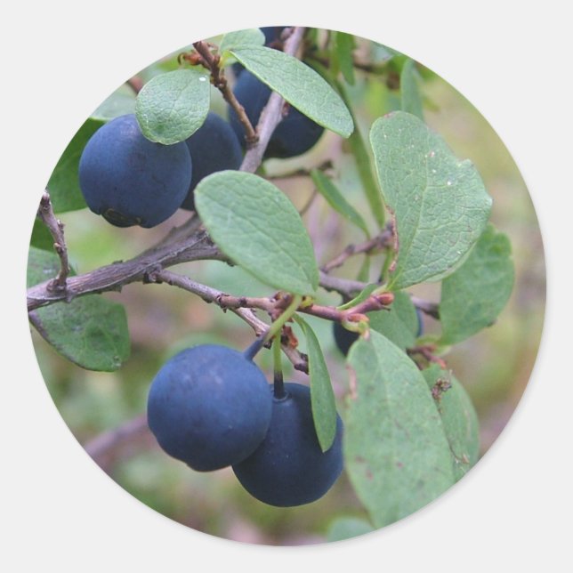 Autocollants Wild Berries (Devant)