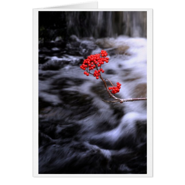 Automne (Devant)